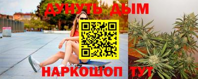 гидра Будённовск