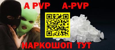 гидра Будённовск