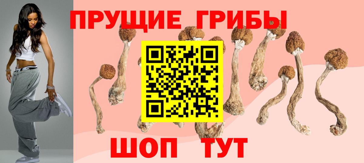 Татарск  Псилоцибиновые грибы мицелий  Вход с VPN 